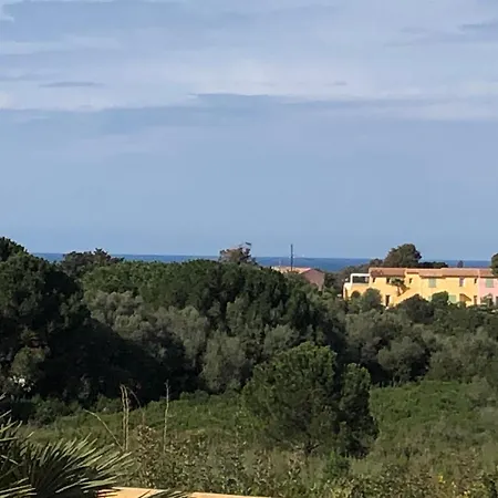 Semesterbostad Patio Calvi (Corsica)